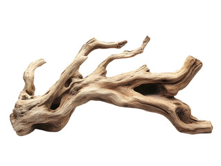 Fototapeta premium Intricate Driftwood Piece for Home Decor