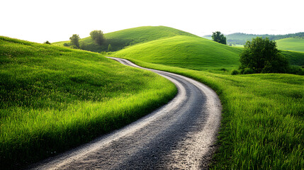 Serene Country Road Winding Through Lush Green Hills
