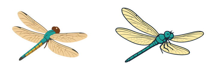 Colorful dragonflies in flight over a serene water surface during the warm afternoon sun