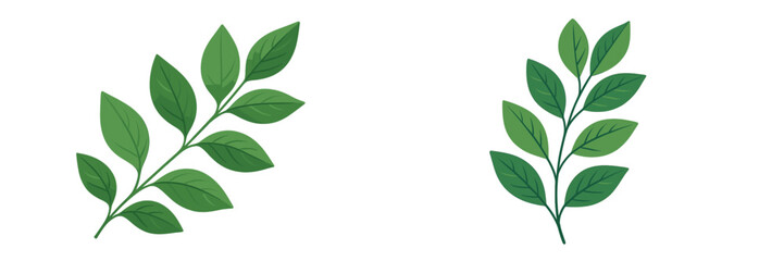 Two sprigs of green leaves showcasing vibrant shades of green against a white background, ideal for botanical illustration