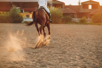 Woman rider jockey riding galloping horse racing at sand