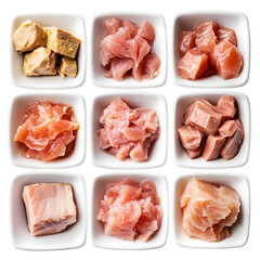 Assorted Canned and Fresh Tuna in White Bowls isolated on transparent background