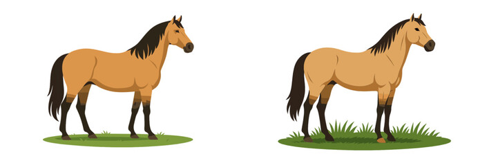 Horses standing on grass with a natural background during a sunny day in a peaceful setting