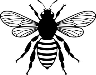 Obraz premium Majestic Honey Bee Silhouette: Detailed Design for Nature, Pollination, and Garden-Themed Crafts & Decor