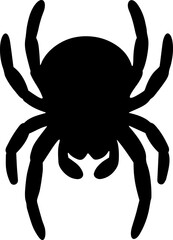 mini cute spider image vector transparent 