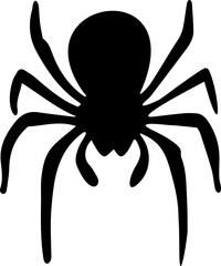 beautiful mini spider image 