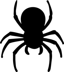 beautiful mini spider image 