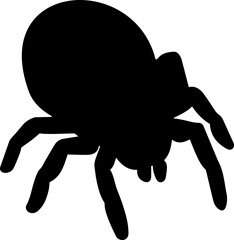 spider black and white 