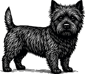 Cairn Terrier vector black silhouette print design