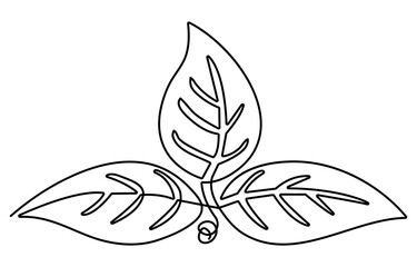 Animated self drawing of continuous line draw whole healthy organic fresh betel leaf for farm logo identity. Mouth freshener utility concept for plant or groceries icon. Full length one line animation