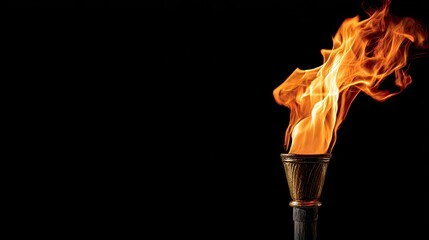 a burning torch against a black background