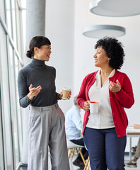 Portrait of two young business woman having a meeting or presentation and seminar standing in the office. Portrait of a young business woman talking