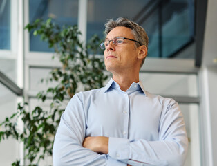A man in a blue shirt is standing in office, businessman portrait