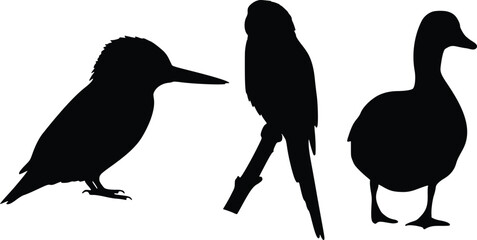 Obraz premium Silhouette illustration of three birds in profile kingfisher, stork, and duck for nature and wildlife design themes