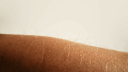 Close Up of Hair on Human Arm in Natural Light