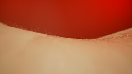 Close Up View of Human Skin Texture with Hair Follicles
