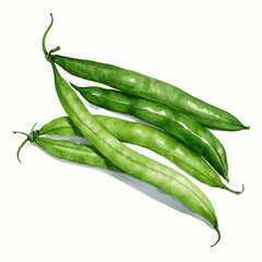 Crisp Pigment: Garden Flow green beans isolated watercolor vector illustration svg