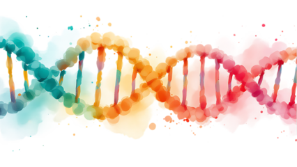 Colorful watercolor DNA double helix illustration.