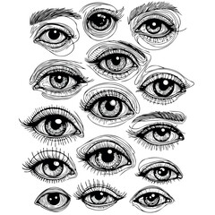 Obraz premium Adobe Illustrator Artwork Set of female eyes. Hand drawn illustration isolated on white background. Collection of women's eyes. Different types of eyes. 