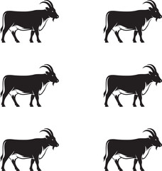 Silhouette cow. Premium vector illustration set of a silhouette cow. 