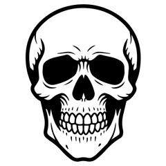 Detailed human skull illustration.  Graphic skull image with defined bone structure and teeth.  Black and white skull design perfect for Halloween decorations or medical illustrations.