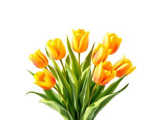 Naklejka premium Vibrant yellow tulips in a spring bouquet. Perfect for cards, websites, and spring themes.