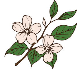 dogwood flowers floral design blossom branch leaves petals spring illustration