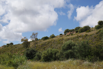 Natura
