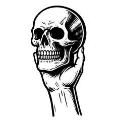 Hand holding a skull. Hand drawn. Vintage. Isolated vector image