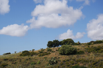 Natura