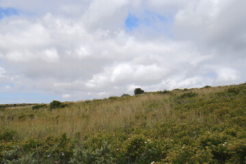 Natura