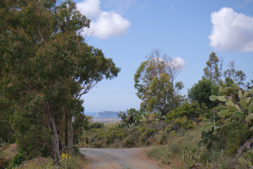 Natura © Steve Fossiant