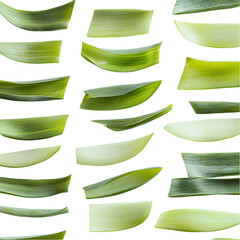 Floating Leek Greens A Culinary Cascade isolated on transparent background