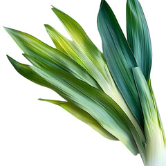 Vibrant Green Leaves Bunch isolated on transparent background