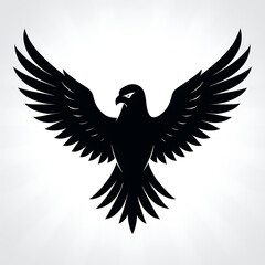 Obraz premium eagle with wings