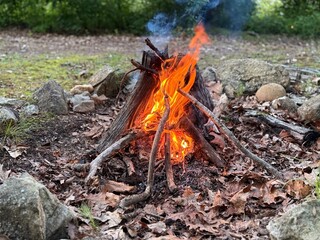 A campfire in the forest at dusk