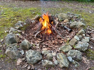 A campfire in the forest at dusk