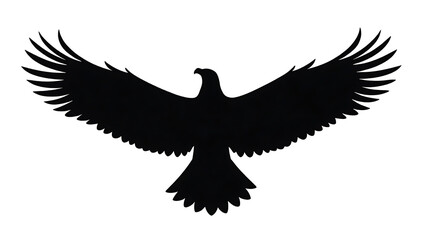 Obraz premium eagle on white background