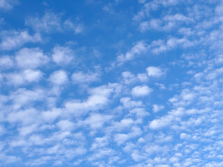Cielo