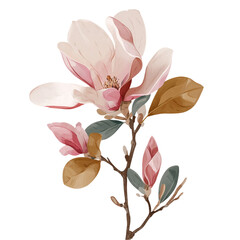 Elegant magnolia flower illustration with soft pink petals and green leaves on a delicate branch