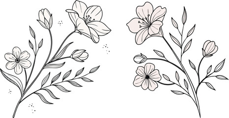 Flower and leaves on watercolor background design collection