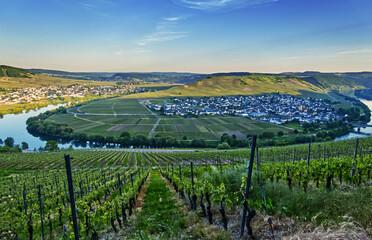 Vineyards covering the hills surrounding a mosel village at sunset