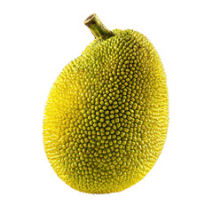 Exotic Jackfruit: Nature's Unique Delight on a white background.
