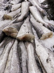 Hake tails at the fishmonger