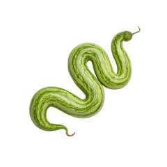 Fototapeta premium The Serpent of Nature: A Unique Green Melon on white background