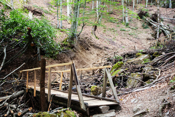 Rustic Wooden Bridge Crossing Forest Stream With Natural Stone And Moss In Wilderness Hiking Trail