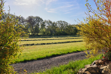 Garden geometry - beautiful rural scene - freshly mown grass on a lawn turned and piled perspective...