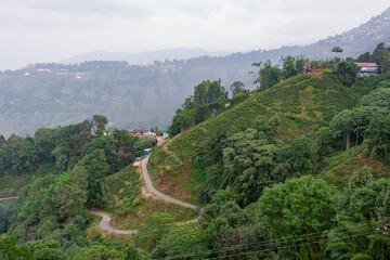 Picturesque Zigzag Road in the Hills of Darjeeling