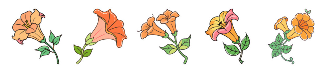 trumpet vine flower icon, trumpet vine flower line art - simple line art of trumpet vine flower, perfect for trumpet vine flower logos and icons