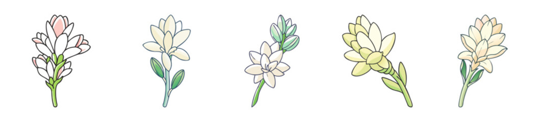 tuberose flower icon, tuberose flower line art - simple line art of tuberose flower, perfect for tuberose flower logos and icons